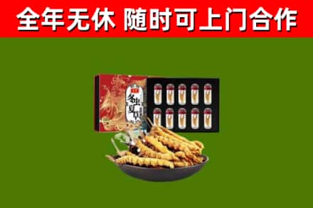 东宁市烟酒回收冬虫夏草礼盒.jpg